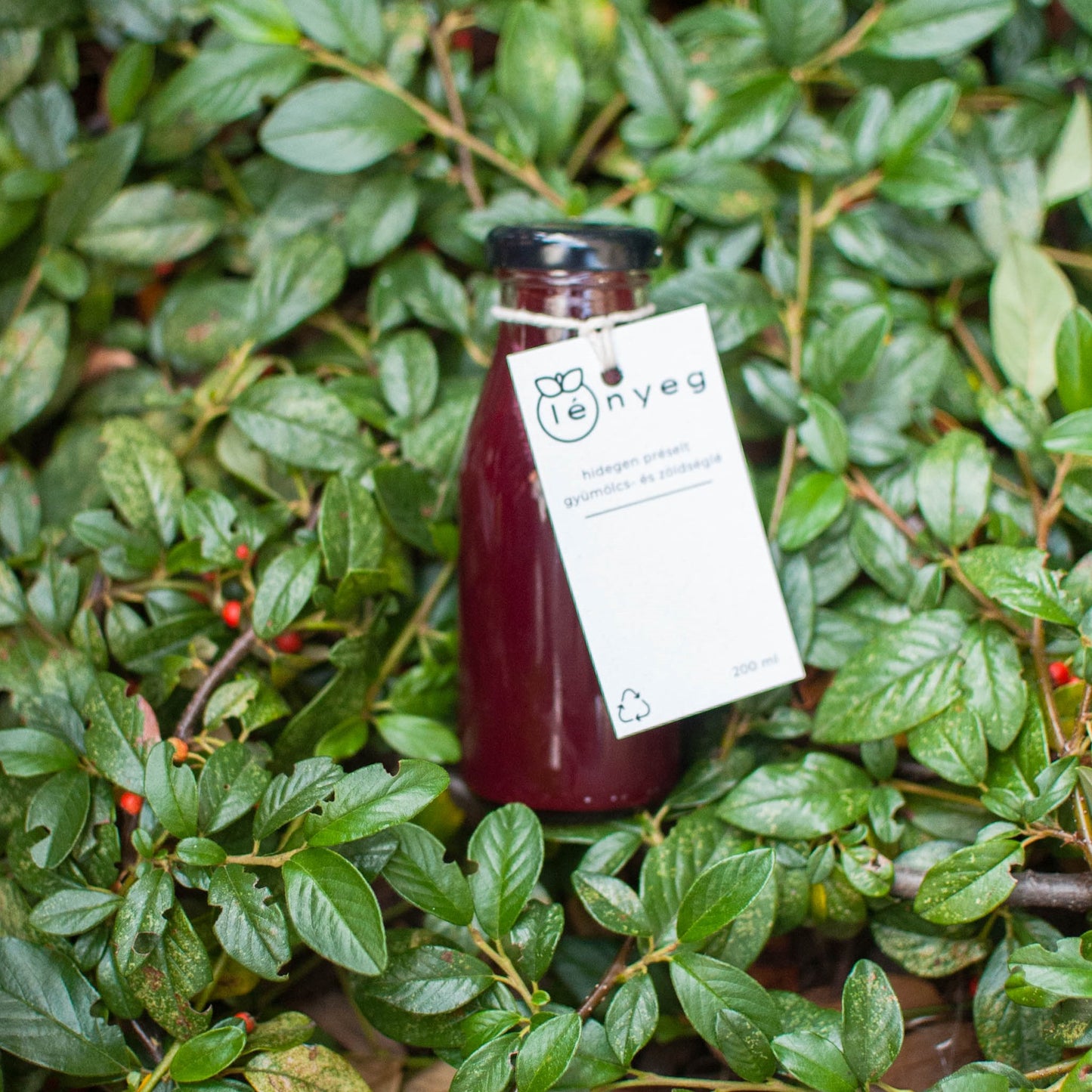 Red Sunrise - Grapefruit Cékla Alma Gyömbér