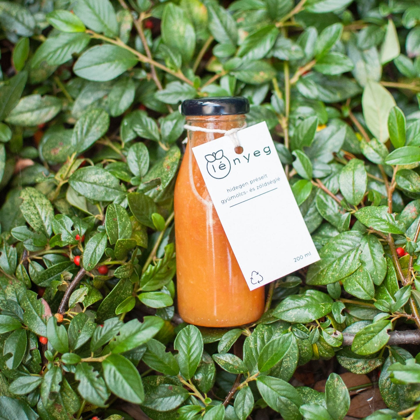 Immunity Fuel - Alma Gyömbér Grapefruit Kurkuma