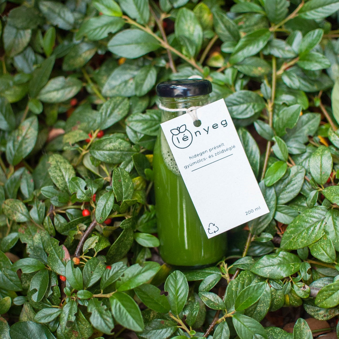 Mild Green- Spenót Uborka Alma Citrom